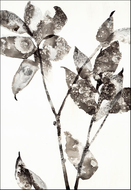 UJAR-204 Botanical by Liz Jardine, available in multiple sizes
