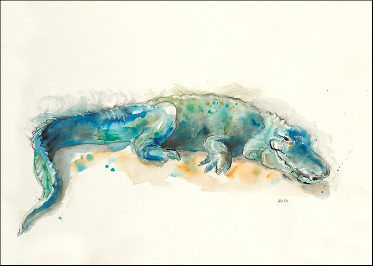 UMAN-149 Alligator by Patti Mann, available in multiple sizes