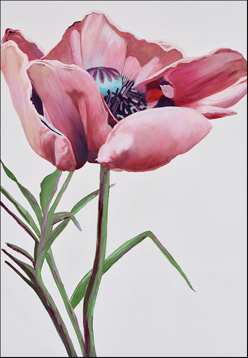 USTL-108 Paris Poppy by Linda Stelling, available in multiple sizes