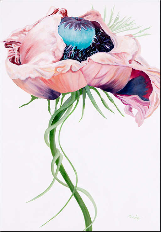 USTL-117 Paris Poppy II by Linda Stelling, available in multiple sizes