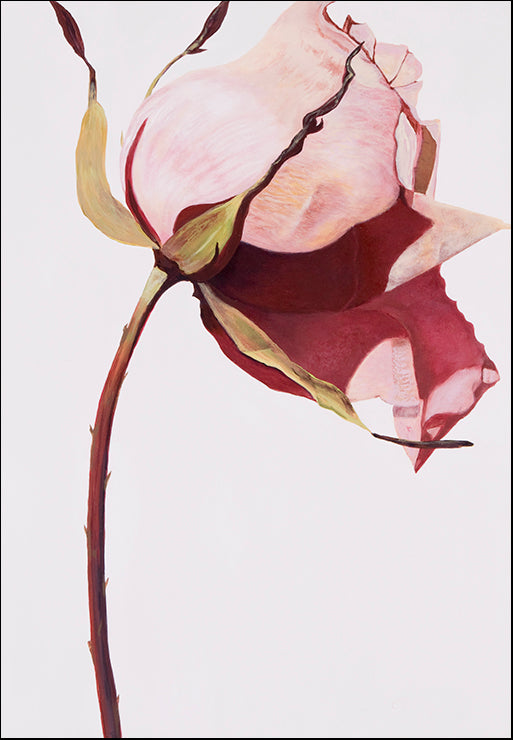 USTL-119 Love Is A Rose by Linda Stelling, available in multiple sizes