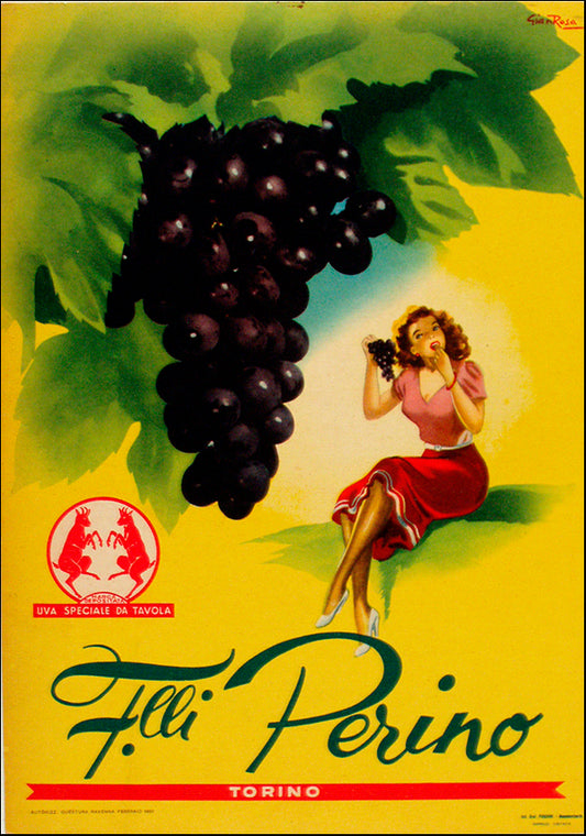 VINAPP114430 Filli Perino Torino, available in multiple sizes - Chamton