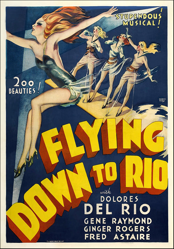 VINAPP118470 Flying down to Rio, available in multiple sizes - Chamton