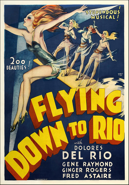 VINAPP118470 Flying down to Rio, available in multiple sizes - Chamton