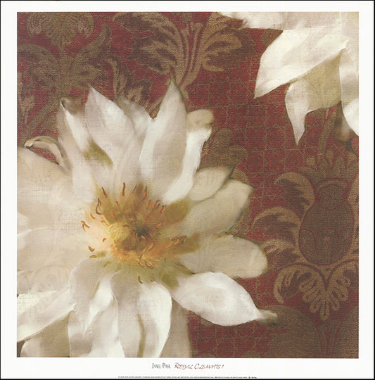 WD PLP106 Royal Clematis by Janel Pahl 50x50cm on paper