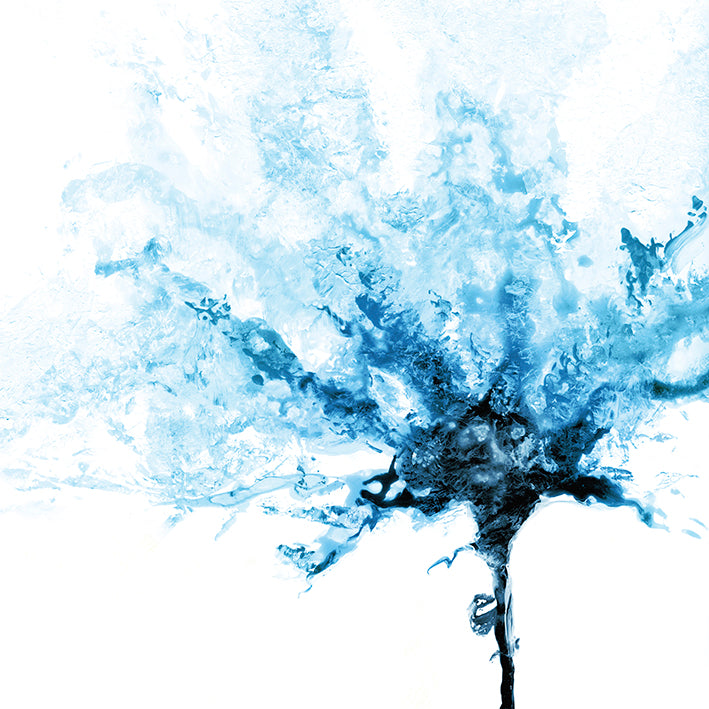 WK073-A - Blue Poppy I, available in multiple sizes