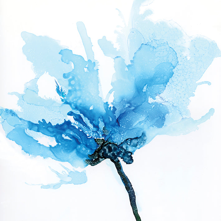 WK074-A - Blue Poppy II, available in multiple sizes