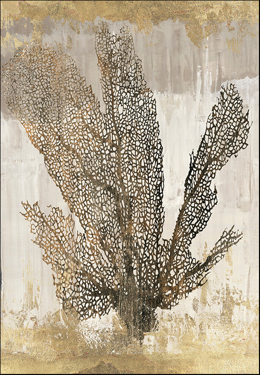 WL103-A Coral I, available in multiple sizes