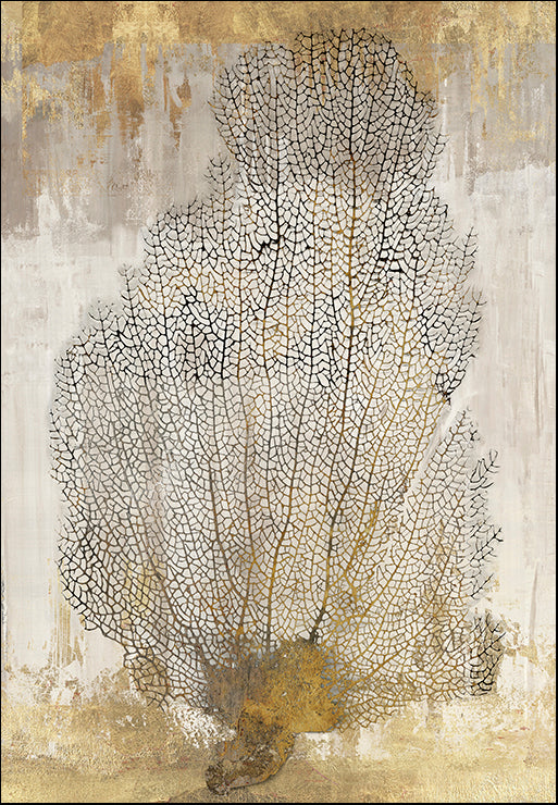 WL104-A Coral II, available in multiple sizes