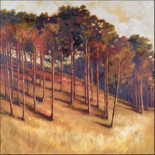 76798 Magic Light, by Waldron, available in multiple sizes - Chamton