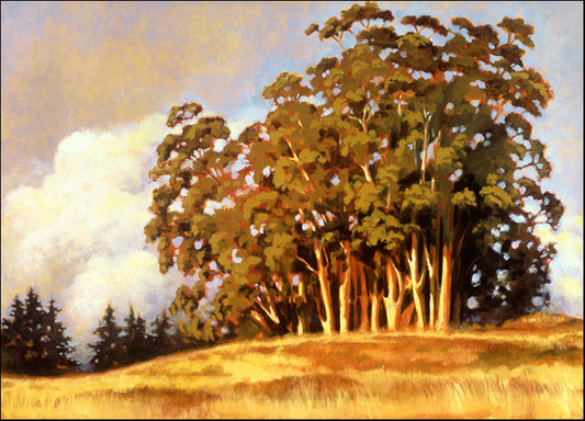 77749 Eucalyptus Grove, by Waldron, available in multiple sizes - Chamton