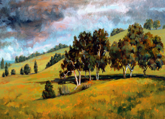 77759 Sonoma Hills, by Waldron, available in multiple sizes