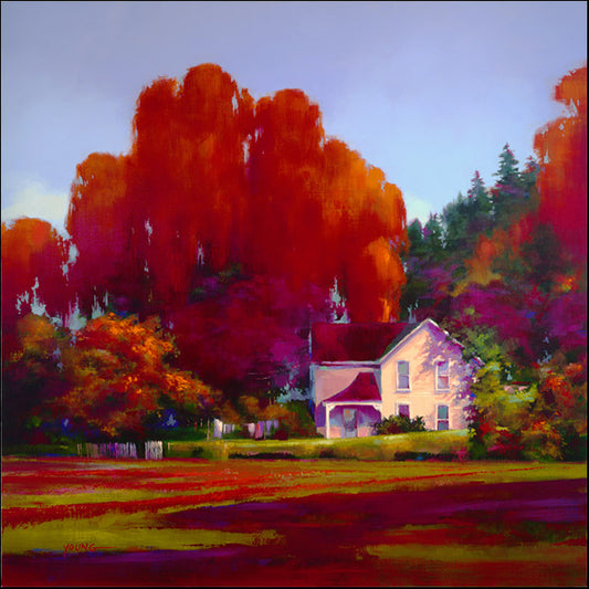 Young,79572 Back Porch, by Donna Young, available in multiple sizes