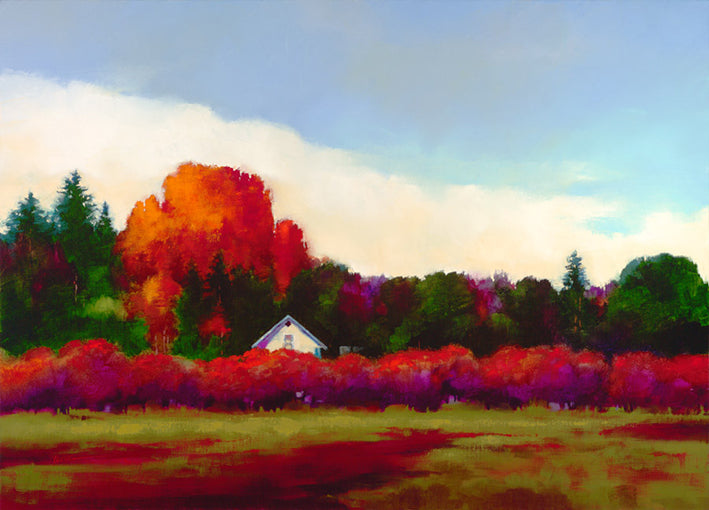 Young,79573 Grapevines in Autumn, by Donna Young available in multiple sizes - Chamton