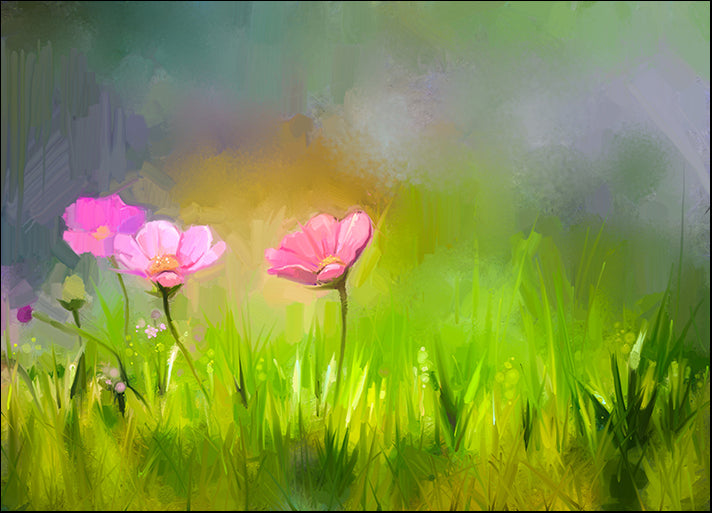 a02615677 Oil Painting Nature Grass Flowers- Pink Cosmos Flower, available in multiple sizes