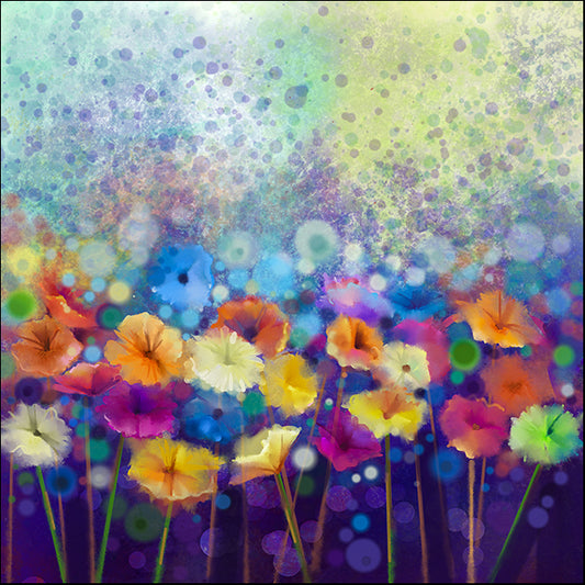 a06854389b White Yellow Pink and Red color of daisy, available in multiple sizes