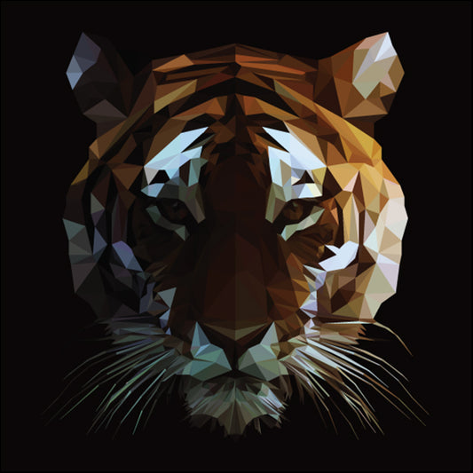 a17493250b tiger illustration, available in multiple sizes