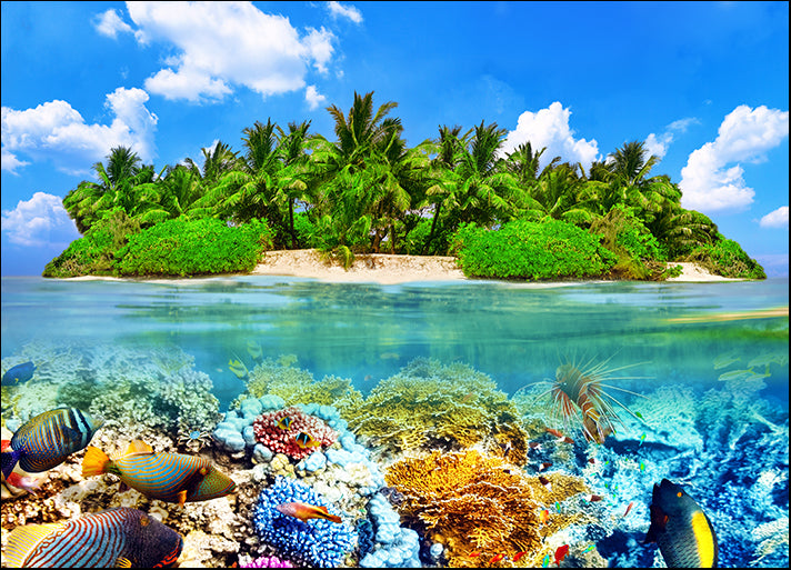 a18761902 Tropical Island And The Underwater World In The Maldives, Thoddoo Island, available in multiple sizes
