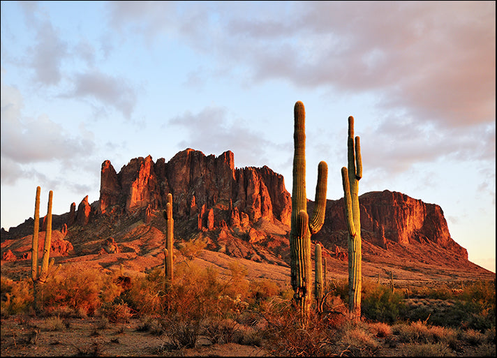 a44895753s Sunset on Superstition Mountain with cactus in desert, available in multiple sizes