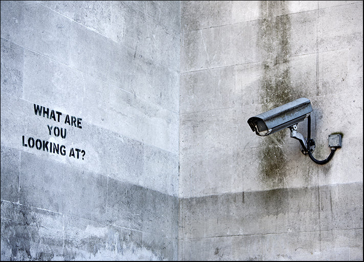 b67988247s Banksy Graffiti art What are you looking at with security camera, available in multiple sizes