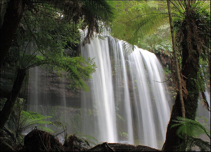 c1949527d Waterfall Tasmania landscape, available in multiple sizes