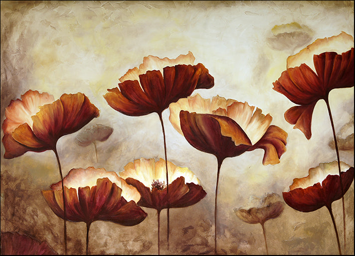 c35581049s Tulip flowers, available in multiple sizes