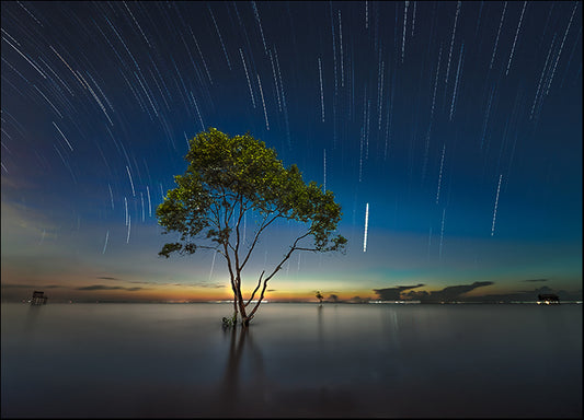 d1521255 Stars crossing the sky, available in multiple sizes