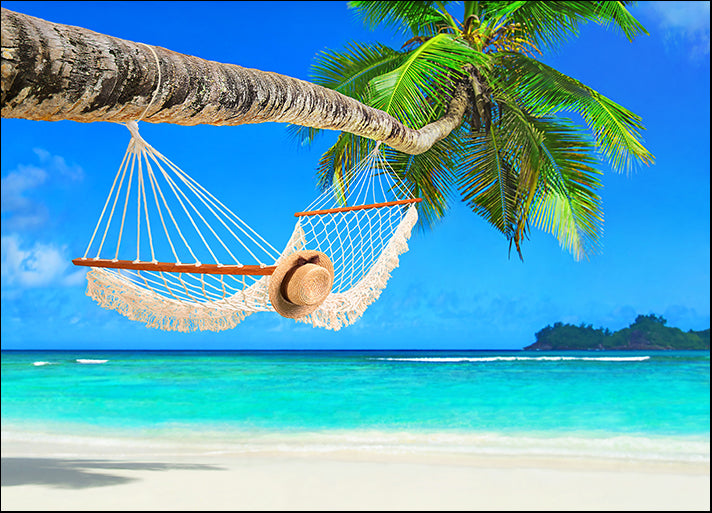 d15544515s Palm tree and Hammock in paradise, available in multiple sizes