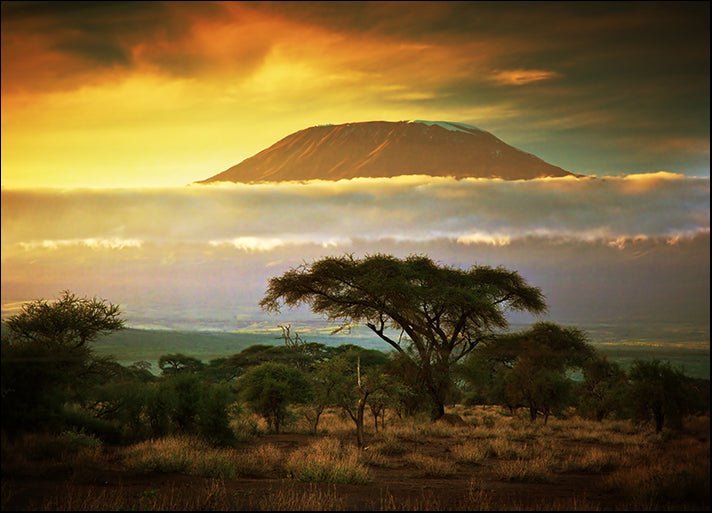 d2312406 Mount Kilimanjaro, Amboseli, Kenya, Africa, available in multiple sizes