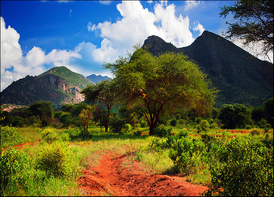 d2915424 Savanna Panorama landscape, available in multiple sizes