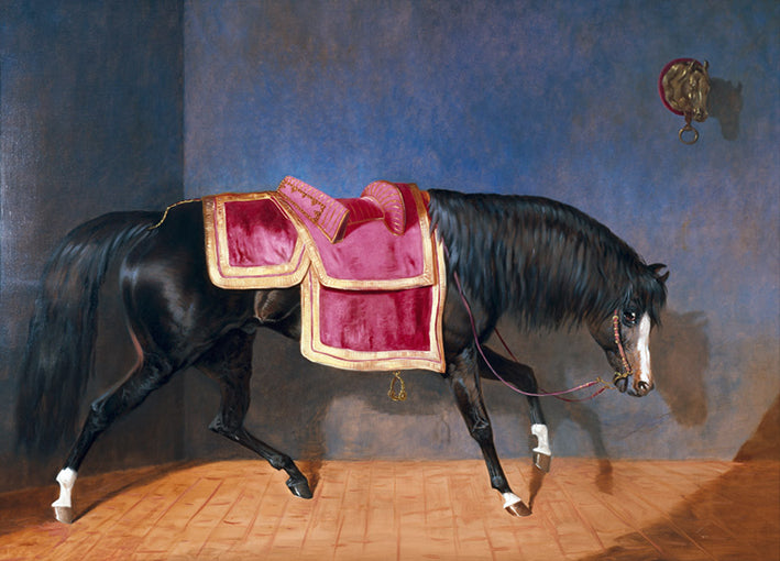 deClaviere,71311 Untitled I, by Bernard deClaviere available in multiple sizes - Chamton