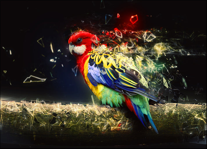 g9322050b Parrot on the branch abstract animal concept, available in multiple sizes
