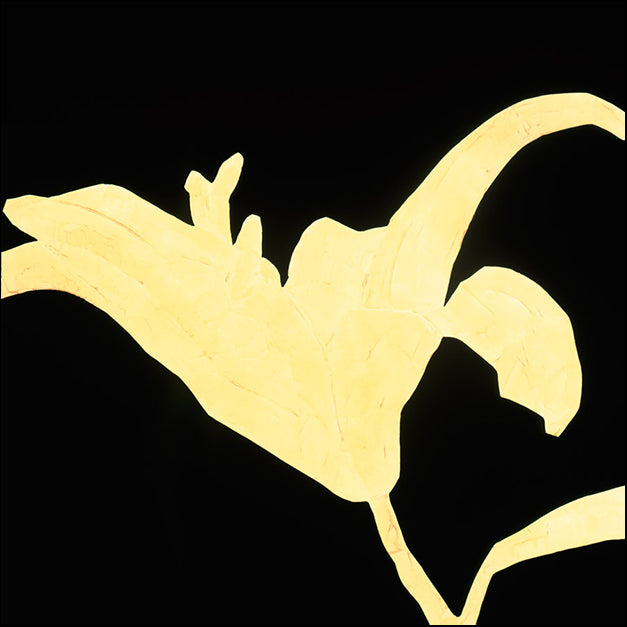 76149 Fiore Giallo II, by Garrett, available in multiple sizes