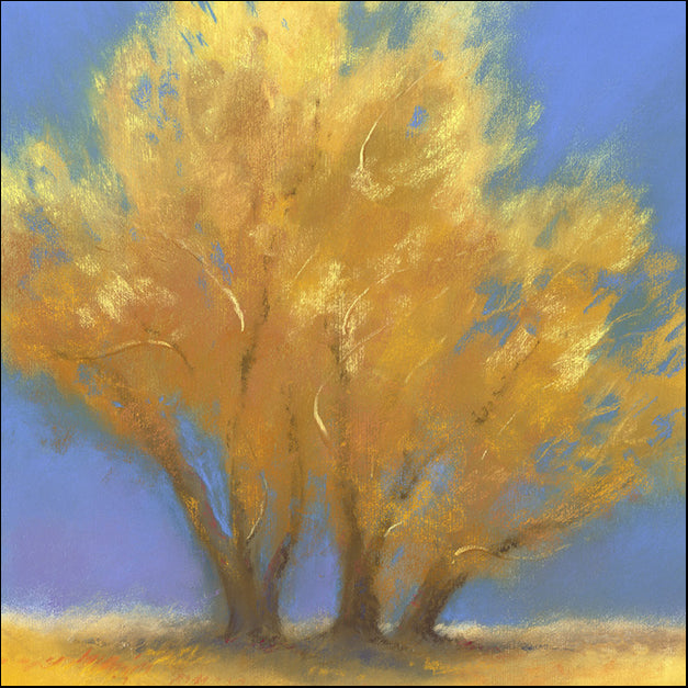 78790 Fall Cottonwoods, by Jonas, available in multiple sizes