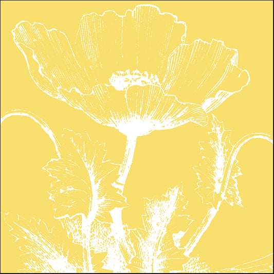 76628 Poppy I, by Meyer, available in multiple sizes