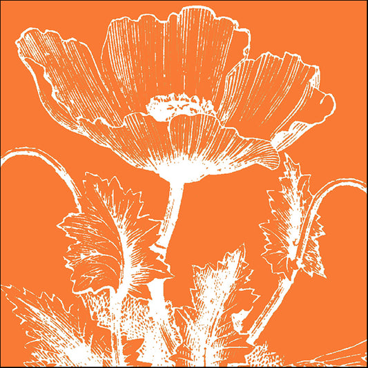 76630 Poppy III, by Meyer, available in multiple sizes