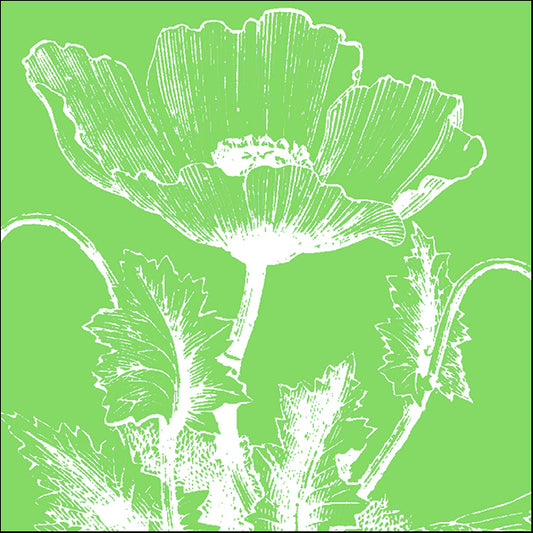 76632 Poppy V by Meyer, available in multiple sizes