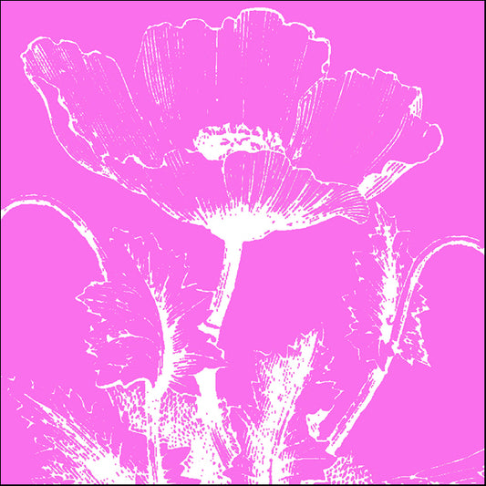 76633 Poppy VI, by Meyer, available in multiple sizes