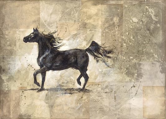 70772 Prancer, by Wiley, available in multiple sizes
