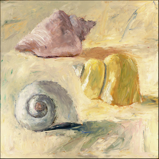 75286 Shells II, by Payson, available in multiple sizes