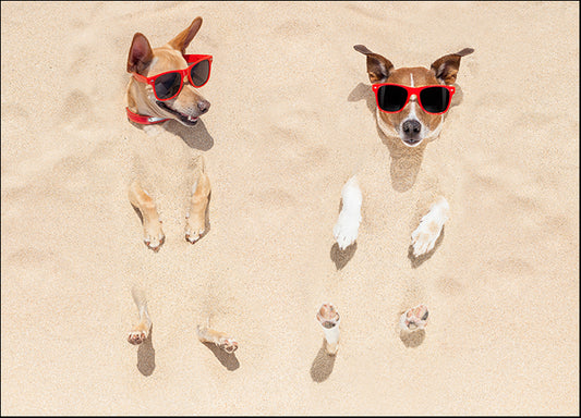 i2128319b Couple Of Dogs Buried In Sand, available in multiple sizes