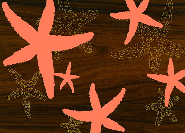 jefdesigns,82317 Starfish 2, by jefdesigns available in multiple sizes